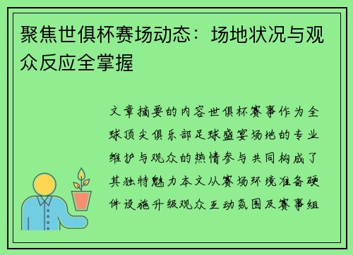 聚焦世俱杯赛场动态：场地状况与观众反应全掌握